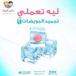 من تأجيل الإنجاب إلى فرحة الأمومة| رحلة أمل مع تقنية تجميد البويضات